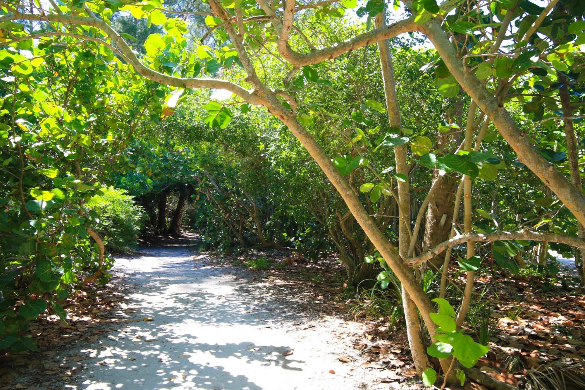 Anna Maria Island Runaway Tropical Dream-One Minute Walk To The Beach-Heated Pool Брейдентон-Біч Екстер'єр фото